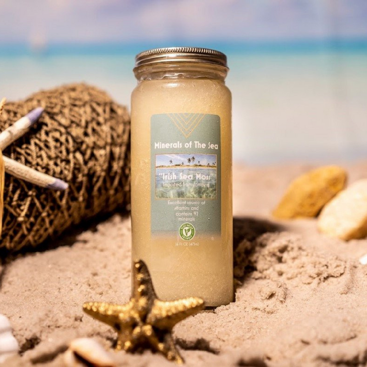 Sea Moss Gel (16oz) - Minerals of The Sea 